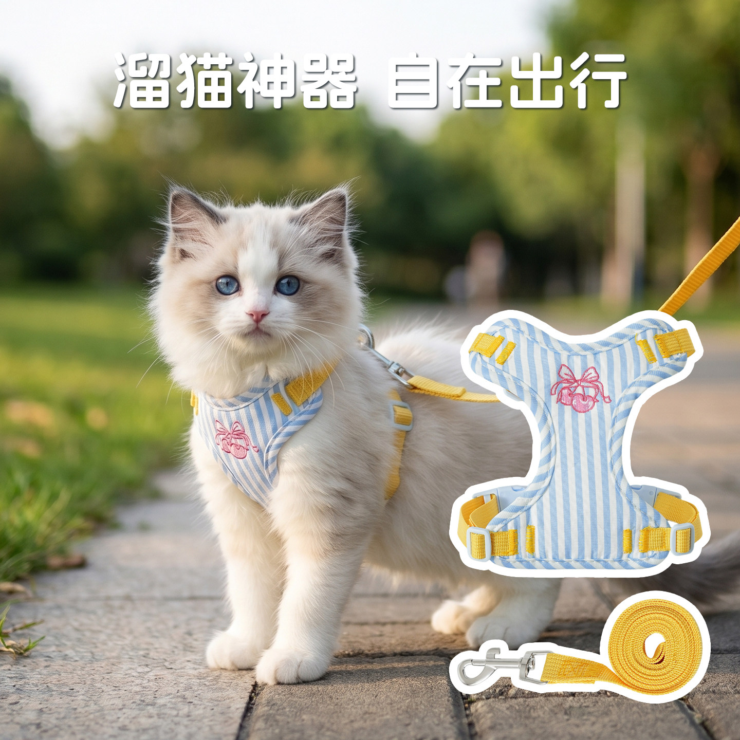 猫咪牵引带小奶猫小猫咪牵引绳外出专用可爱幼猫牵引绳防挣脱背心图片