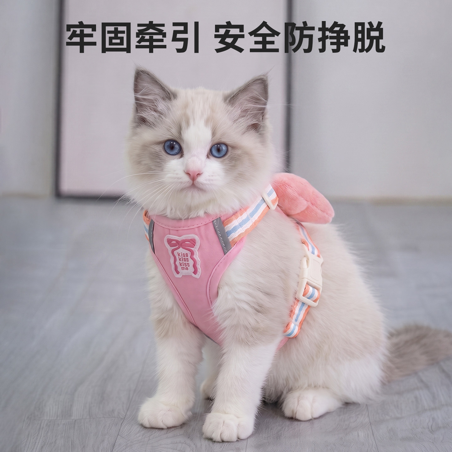 猫咪胸背带夏季透气网布牵引绳小猫幼猫外出防挣脱狗狗通用宠物绳