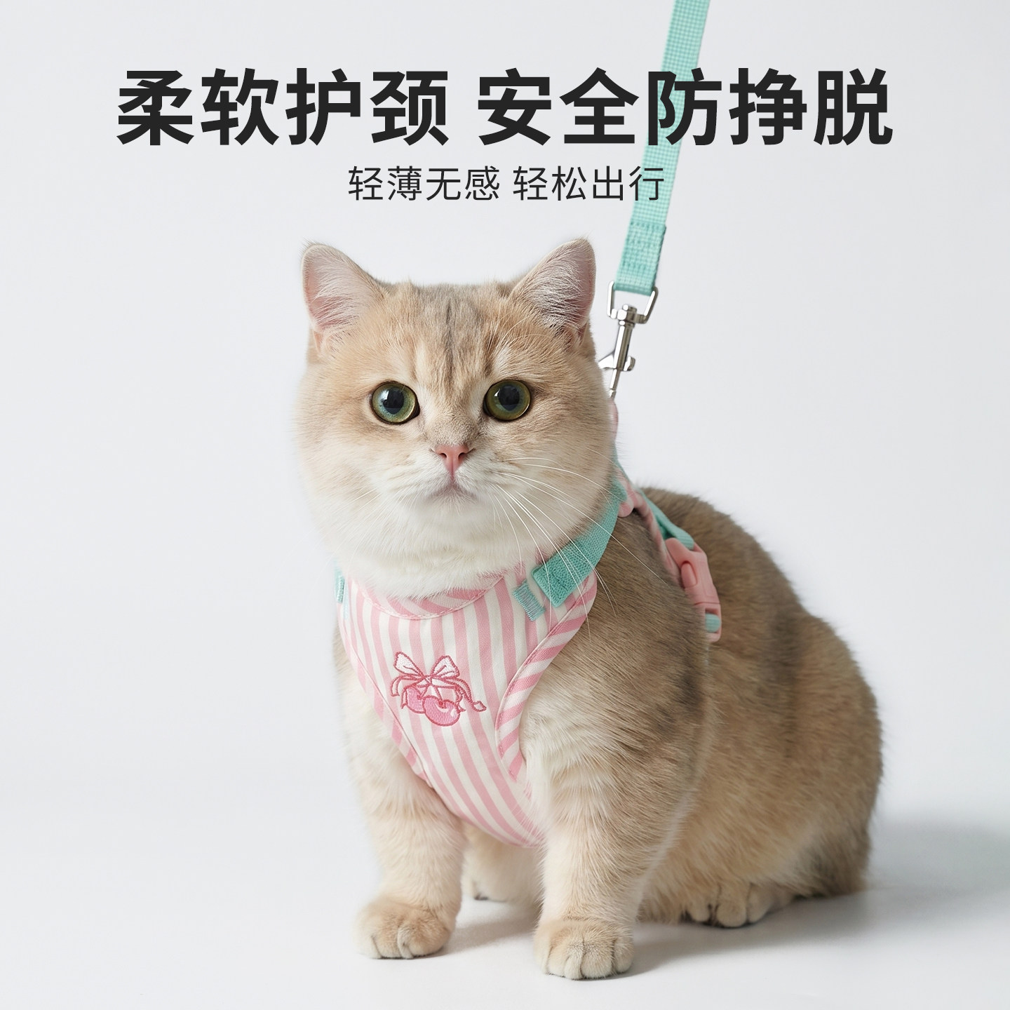 小猫咪牵引绳宠物狗绳防挣脱不勒脖溜小猫神器外出专用遛猫绳胸背