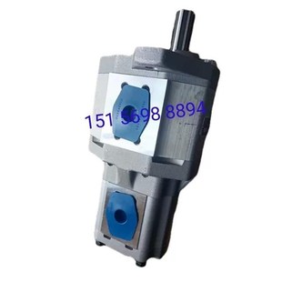 CBQT CFPL液压双联油泵 F540 AFHL 合肥赛源齿轮油泵 F425 长源