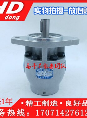 阜新液压高压齿轮油泵 CBF-E10P E16P E18P E25P E32P E40P X ALP