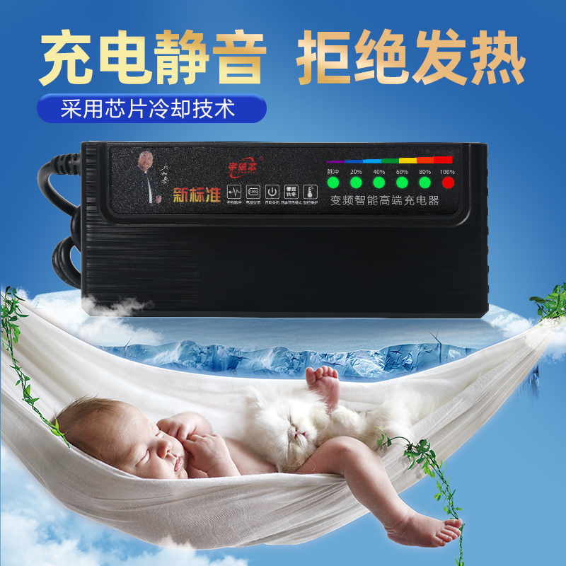 铅酸电池脉冲蓄电池电动车充电器48V12AH20AH60伏20安72V50AH120V