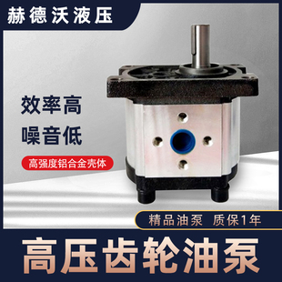 G304 306 310 齿轮泵CBN 320 CBN 316 325平建花键扁建液压油泵