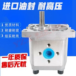 F304 314 CBT 310 316T320G325高压齿轮泵头静音 306 液压油泵CBN