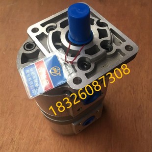 BFHL双联液压齿轮油泵 正品 F510 F532 环卫车配件安徽 长源CBNL