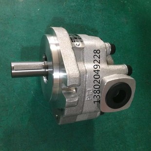 1E13S 20R 液压齿轮泵 油泵G5