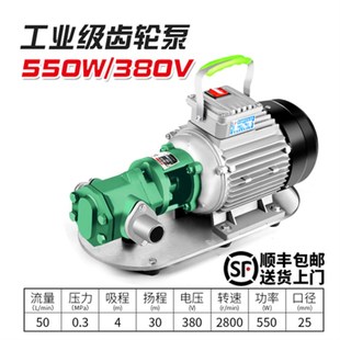 Wcb背包齿轮泵液压油泵220V小型不锈钢高压自吸机柴油机泵