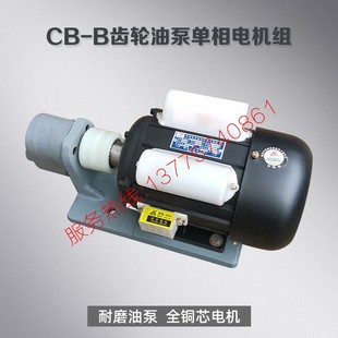 B40 B125齿轮油泵电机组JZ B100 B63 B50 B25 B16 B6JZ B10