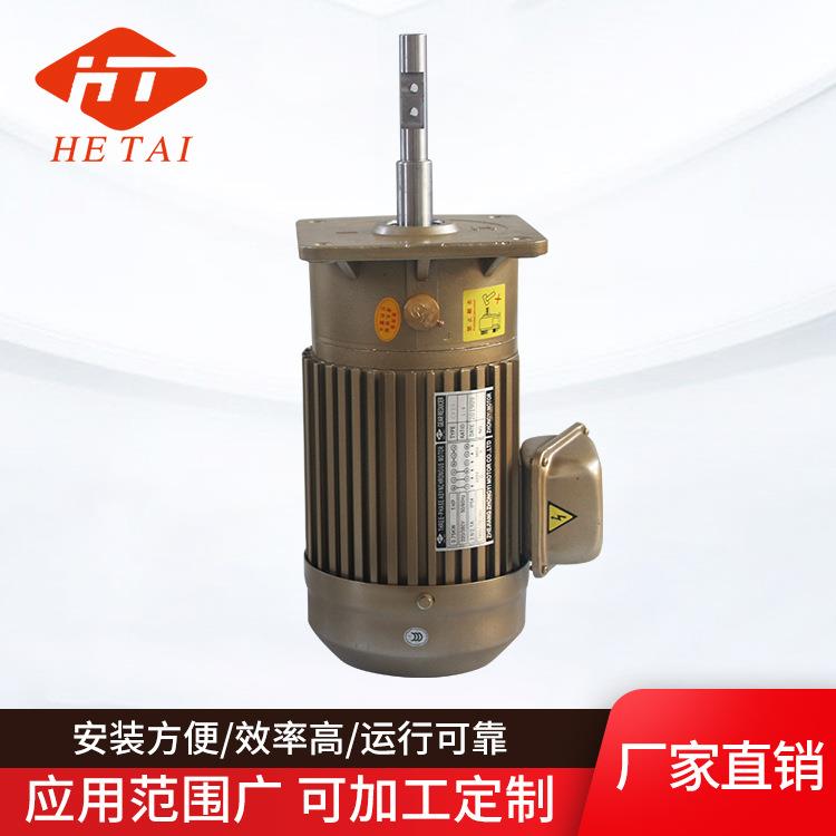 畜牧设备专用马达CV19-750W-5小型减速电机养殖场料线电机