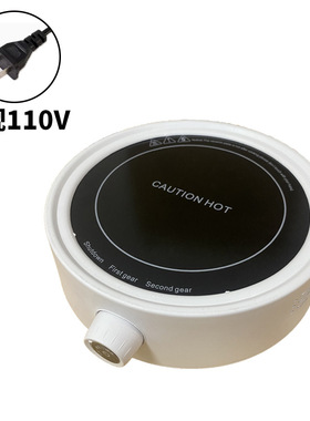 110V美规电陶炉茶炉茶具烧水壶耐高温养生煮茶壶蒸煮茶器套装