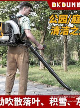 德国德士顿力机灭火风EOI吹雪机大棚四冲程吹树多功能背负式叶吹