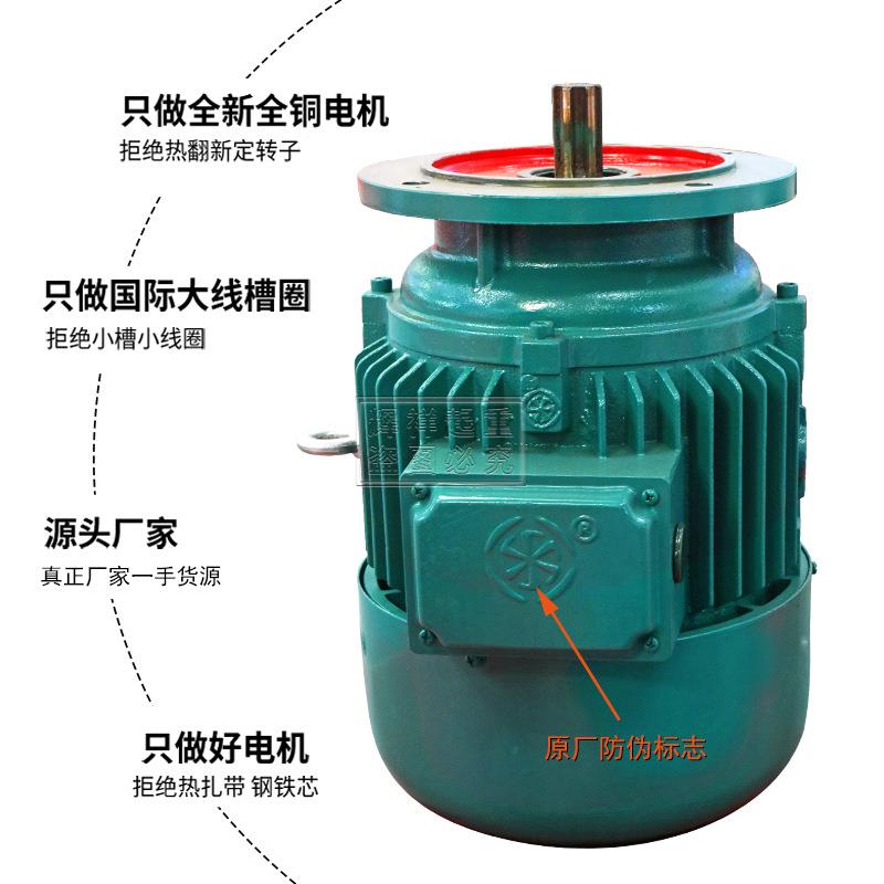 ZWJTD151-4-4.5/7.5/1/电8.15wk三相异步锥形葫芦主起升南京特种