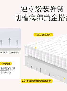 WZ圆梦智电动床多UFW功能可能升降床工零重力手马尾毛垫床