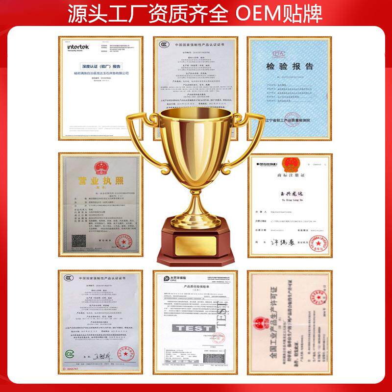 红砭石加床垫汗泗水红砭石双温热LD-H001双控远红外线蒸床垫