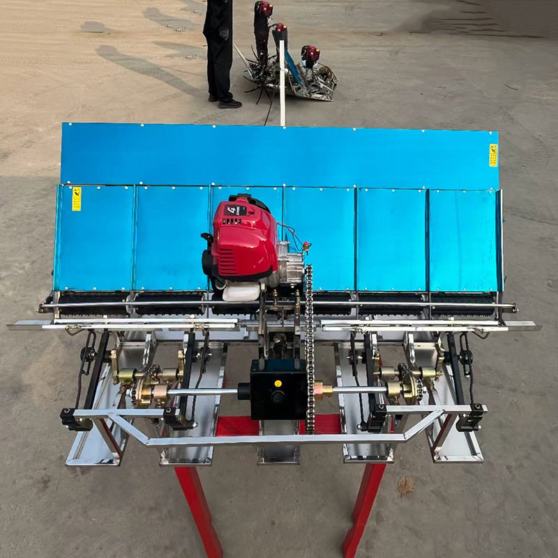 汽油动力水稻插秧机手扶式小型农用插秧机水田全自动均匀栽秧机械