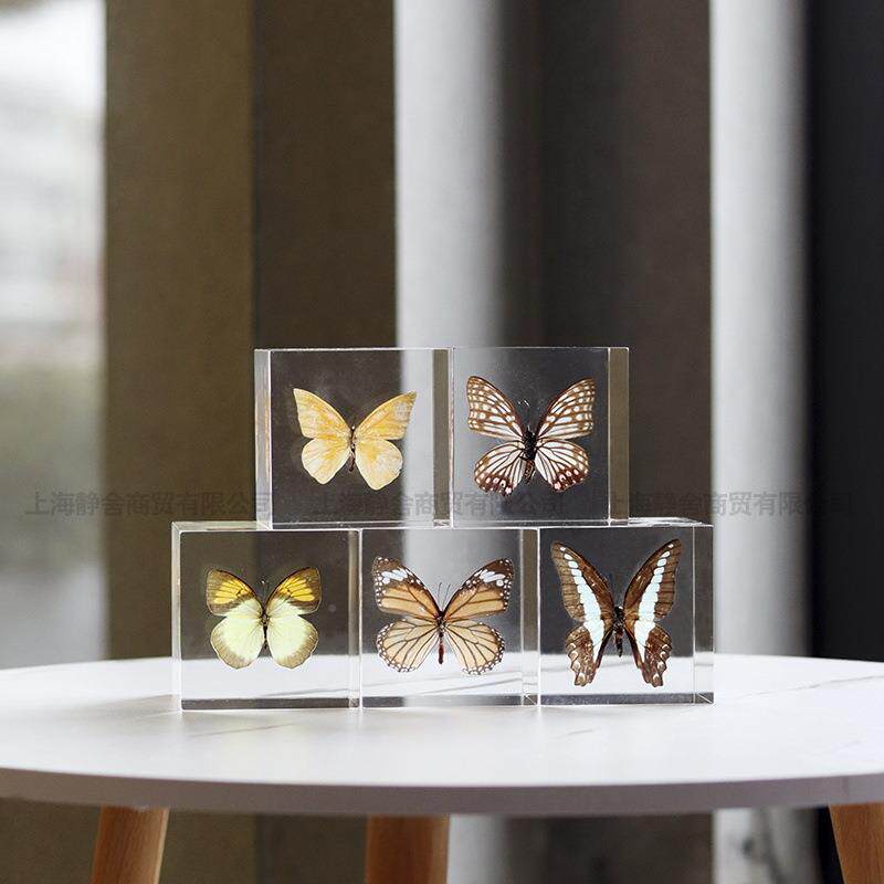 样铂晶果实透客明摆件厅房售楼处现代62861轻奢板书间设计师软装