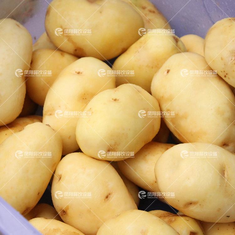 土豆毛刷清机红莲薯去皮洗抛机DSV萝卜藕地瓜脱皮光机器高压喷淋