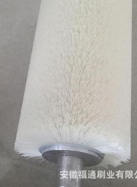 定制工业清机洗毛刷辊玻璃清洗机果蔬洗清光除76812尘打磨滚筒抛