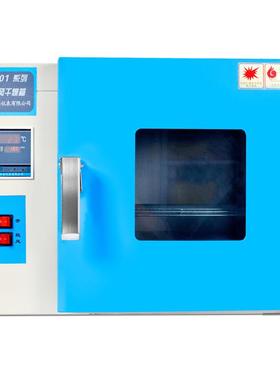 上海叶拓202/101箱实验室恒温干燥干高温烘箱电热恒温鼓95703风燥