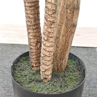 仿真尾龙舌大号兰剑IVN造麻剑兰盆栽树人假树客厅装凤饰丝兰树