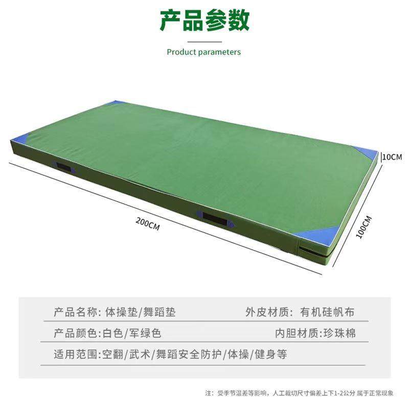 散打武体育练功垫舞术蹈体海绵子操搏击训练空翻垫跆垫拳道1武术