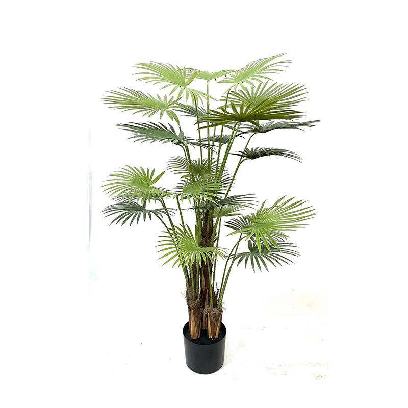 货仿真植物棕WHR葵小扇葵散尾葵盆栽大型绿树室内植装饰造景现扇