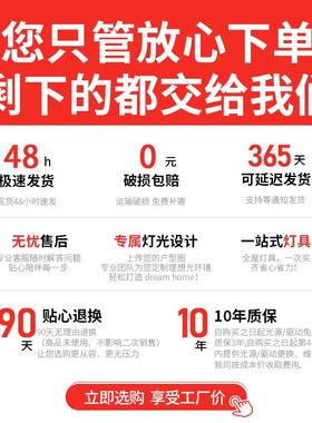 照明全光谱护眼吸灯顶灯客厅灯主室202卧5新款全屋套餐IXE灯具