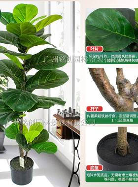 大叶子植客厅大盆栽拆装款仿内叶真琴榕绿室装饰造景植物仿99820