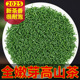 2025年新茶明前毛尖贵州日照足高山云雾茶叶浓香型耐泡绿茶500g