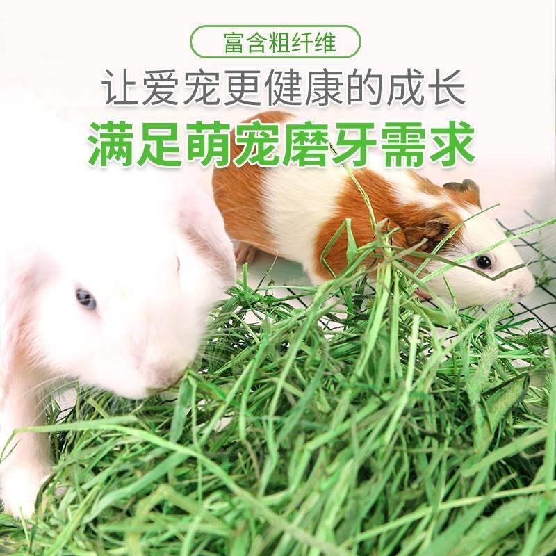 Timothy grass rabbit Dutch pig feed forage grass hay totoro 宠物/宠物食品及用品 兔兔干草 原图主图