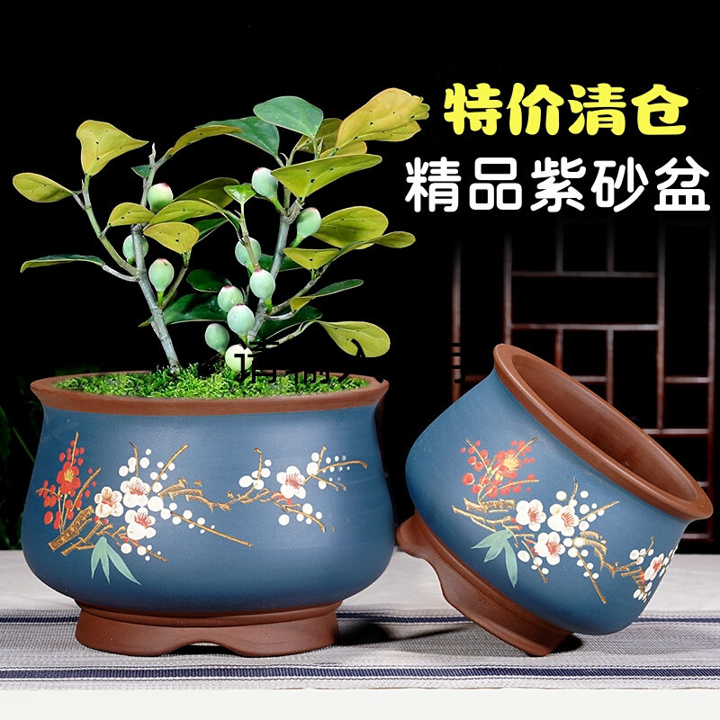 紫砂多肉花盆大口径陶瓷彩色精品兰花盆植物种植厂家直销君子兰盆