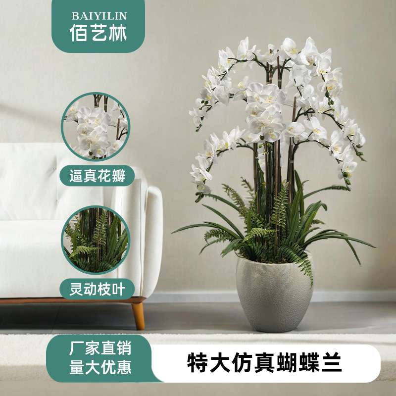 特大蝴蝶兰仿真花精致家居装饰复刻真花神韵多色可选适配多元场景