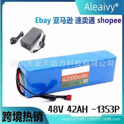 电动自行车电池48v42Ah18650锂离子电池组13串3并+充电器