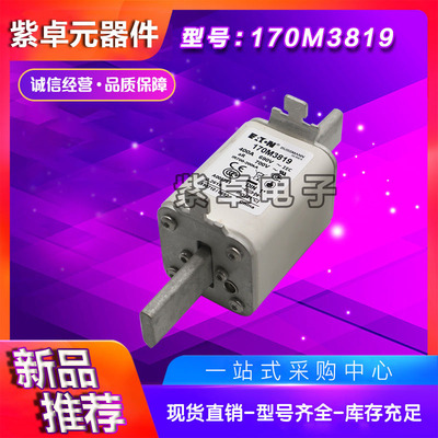 170M3965 170M3966 170M3967 170M3968 170M3969巴斯曼快速熔断器