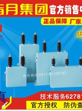 指月高压并联电容器BFMR11-100-3W,BAMR11-100-3W,BWMR11-100-3W