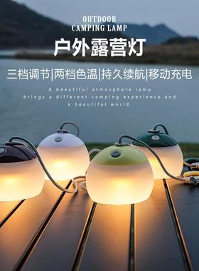 野营灯露营灯c充电户外灯照明氛围灯LED防水Typef高亮冷暖挂灯无
