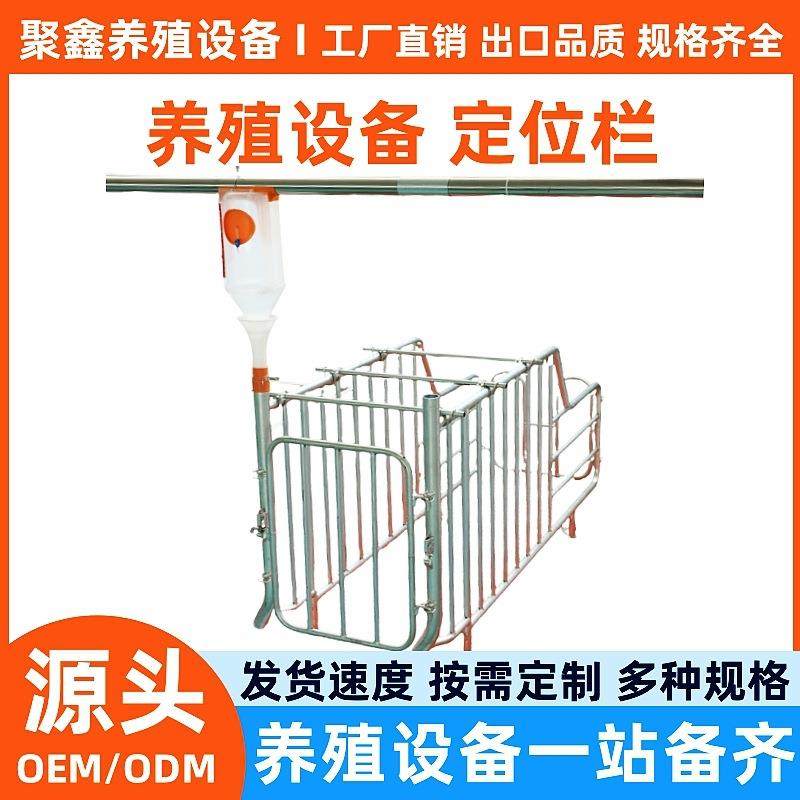 养殖场母猪定位栏落地式限位栏猪用定位栏带槽加厚产床仔猪保育