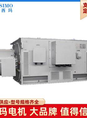 户外防腐WF1 SIMO西玛 YRKS系列YRKS800-4 5000KW 10KV高压电机