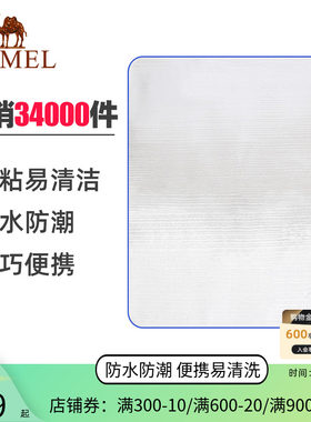 户外防潮垫防水便携郊游垫野