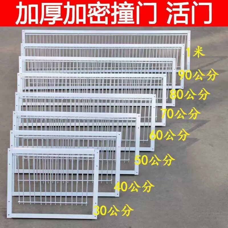 撞门只进不出鸽具活络门自动跳笼