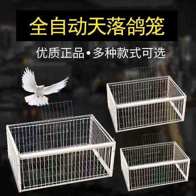 鸽子笼只进不出自动收鸽子神器天落笼收鸽笼活络门撞门笼抓鸽子笼
