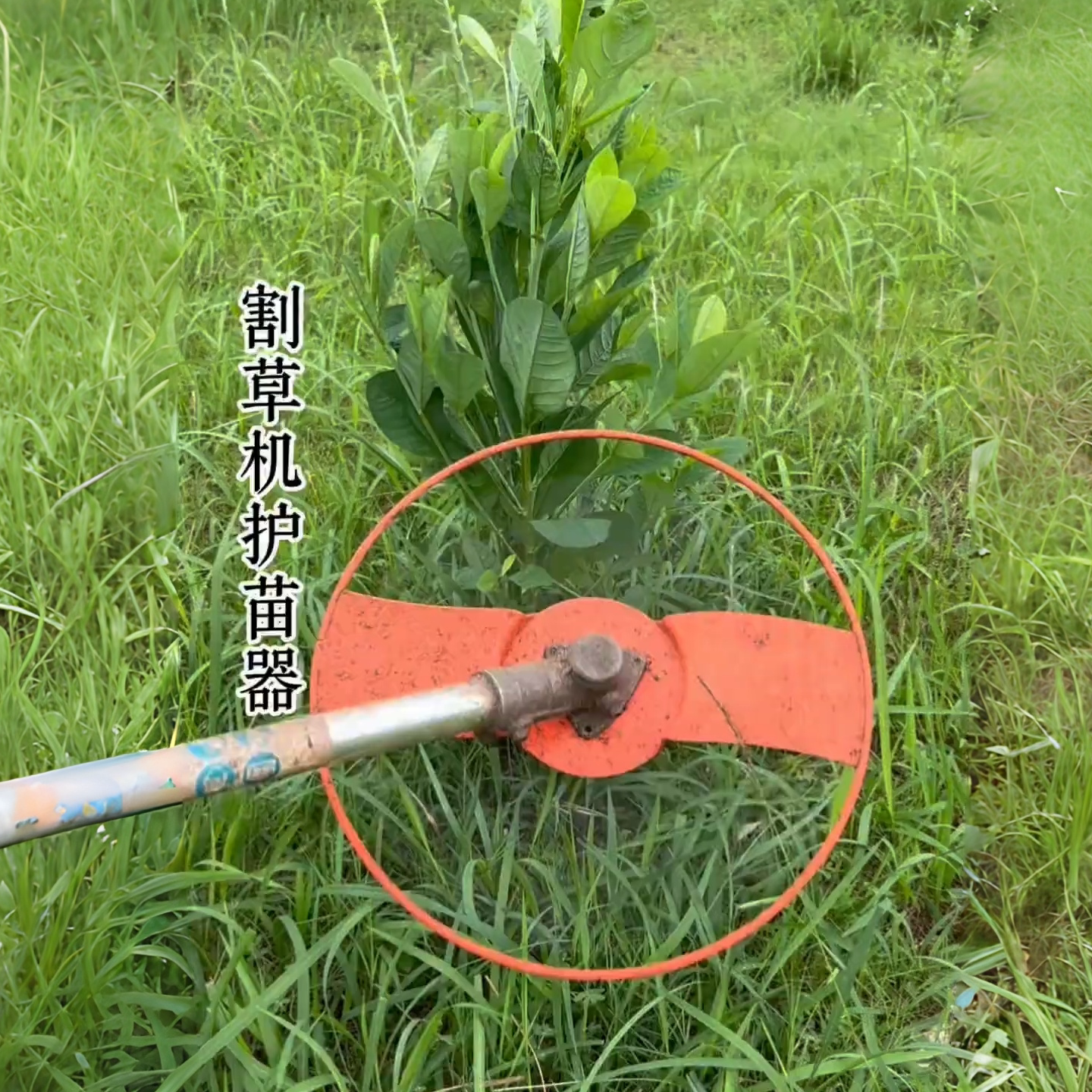 割草机加厚护苗器配件保护植物割灌机防护板罩盘加厚农用配件护苗