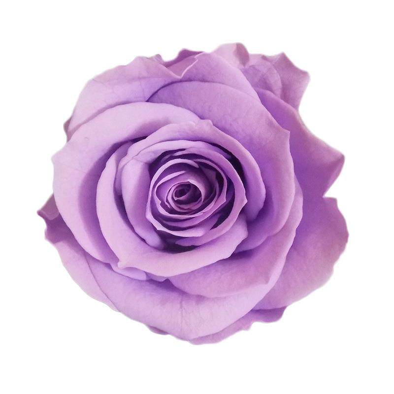 A级保鲜花出口大玫瑰5-6cm永生花花头抱抱桶礼盒素材花束,家居饰品,餐桌花艺,淘宝优惠券,粉丝福利购,淘宝优惠卷