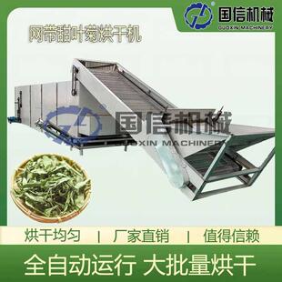 大型連續(xù)糖菊恒溫脫水干燥機(jī)糖菊甜草烘干設(shè)備網(wǎng)帶甜葉菊烘干機(jī)