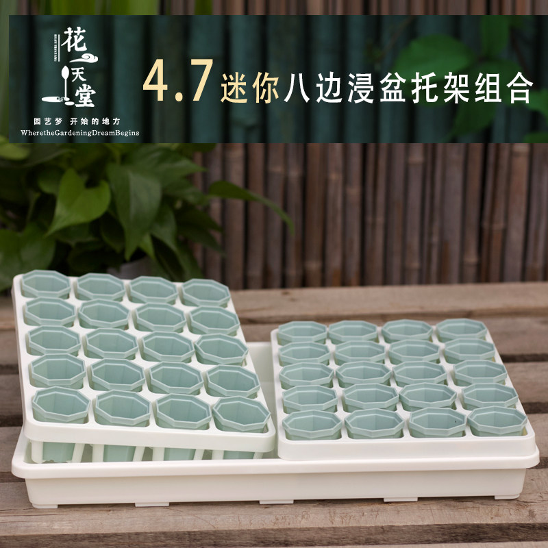 速发4.气口迷你多肉塑料八角盆托架浸水盘整理台肉控肉精透7省土