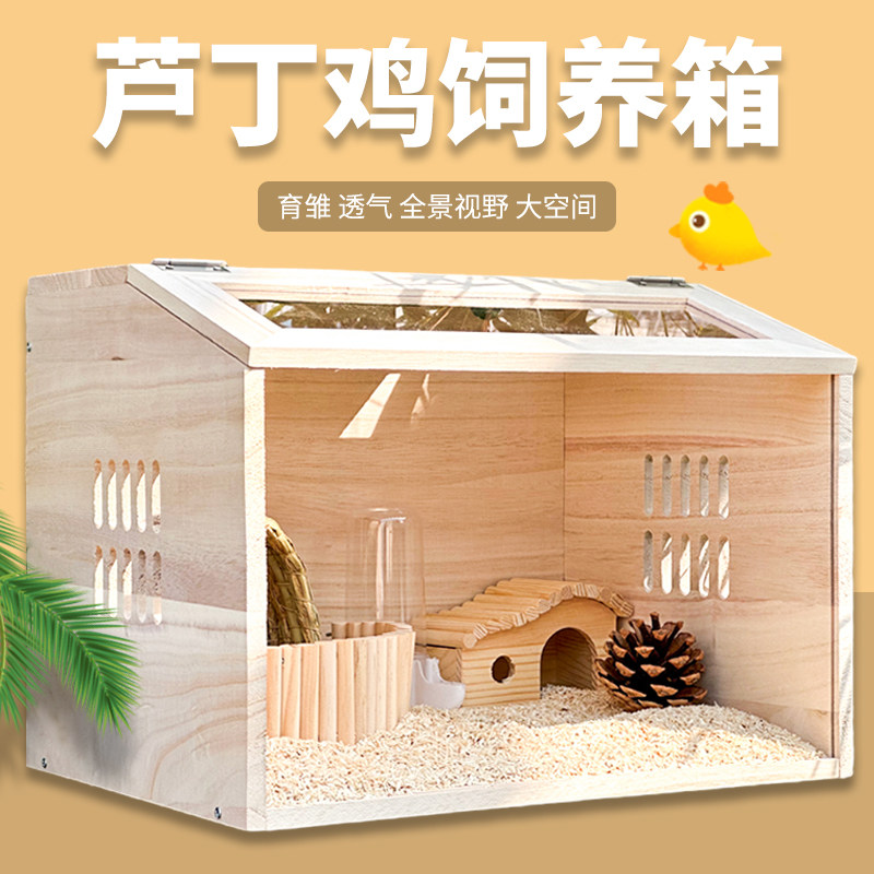 速发芦丁鸡饲养箱全套鸡景专用箱子小鸡箱窝造子卢丁鸡的房子笼子