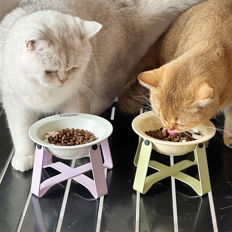 速发猫水陶瓷铁架子飞碟碗高脚保护碗猫食盆翻碗碗防打猫猫盆