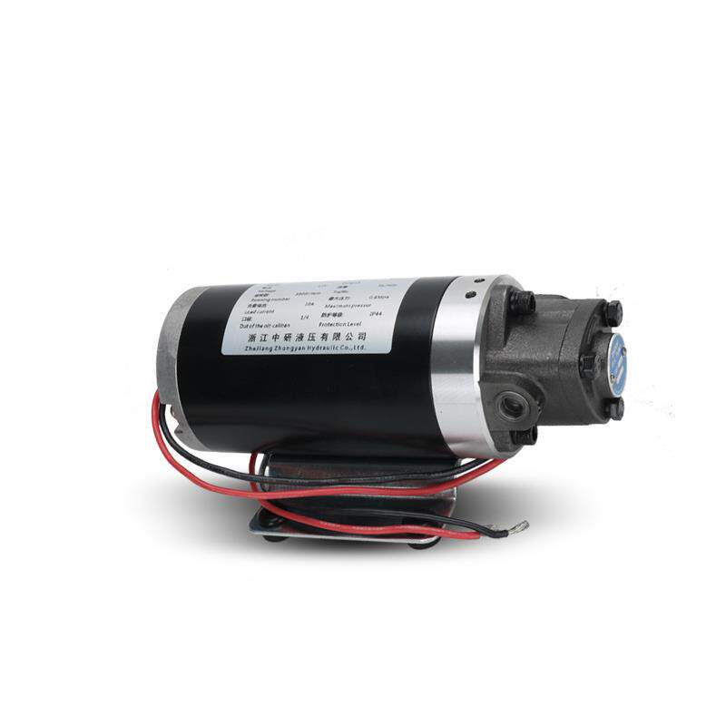 厂家直供微小型抽油泵直流专用电机油泵齿轮泵机DC12V/24V摆线泵