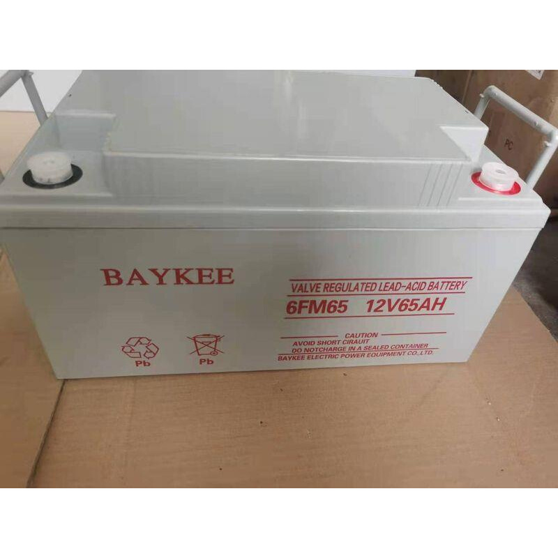 柏克BAYKEE铅酸蓄电池6FM65 12v65ah直流屏UPS电源后备储能应急用