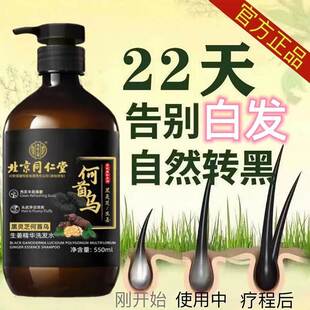 【官方正品】北京同仁堂何首乌黑灵芝白发养黑生姜精华防脱洗发水